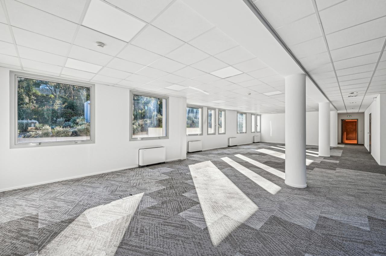 Bureau Biot 2105m² Location bureau Biot Alpes-Maritimes OLBUR2115387 9